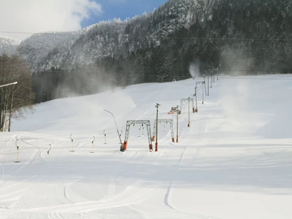 Hundehotel - Pools: Schwimmteich - Skilift Zloam - Narzissendorf Zloam