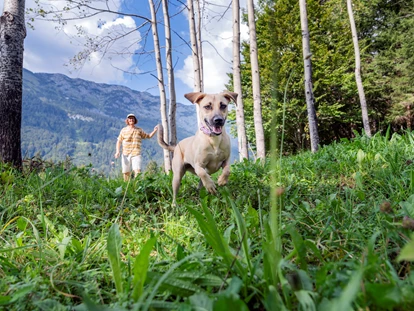 Hundehotel - Pools: Schwimmteich - Hundewiese (1400m2 eingezäunt) im Narzissendorf Zloam - Narzissendorf Zloam