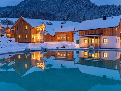 Hundehotel - Pools: Schwimmteich - Winter Narzissendorf Zloam - Narzissendorf Zloam