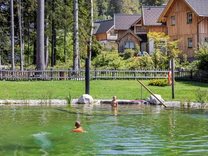 Hundehotel - Pools: Schwimmteich - Schwimmteich Narzissendorf Zloam - Narzissendorf Zloam