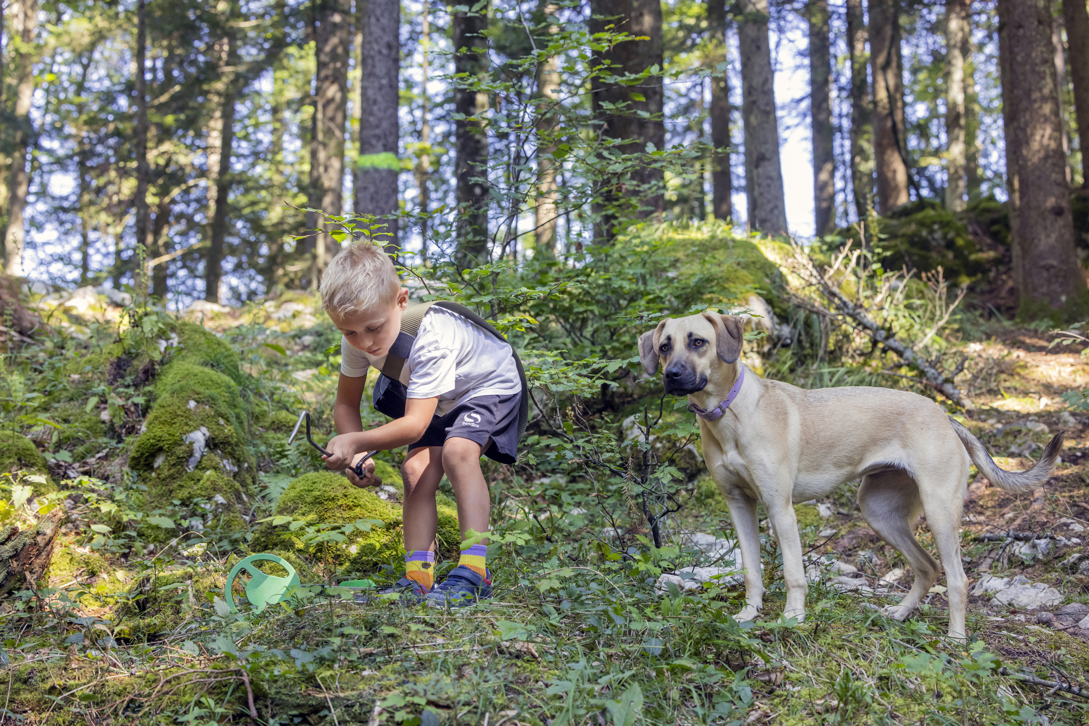 Urlaub-mit-Hund: Schatzsucherwald Zloam - Narzissendorf Zloam