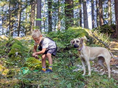 Hundehotel - Pools: Schwimmteich - Schatzsucherwald Zloam - Narzissendorf Zloam