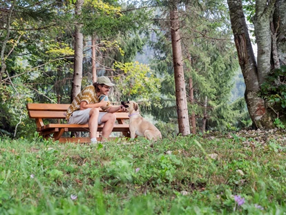 Hundehotel - Pools: Schwimmteich - Hundewiese (1400m2 eingezäunt) Narzissendorf Zloam - Narzissendorf Zloam