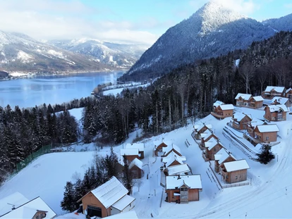 Hundehotel - Pools: Schwimmteich - Narzissendorf - Dorfteil Eibenwald mit Skihang und Grundlsee im Winter - Narzissendorf Zloam