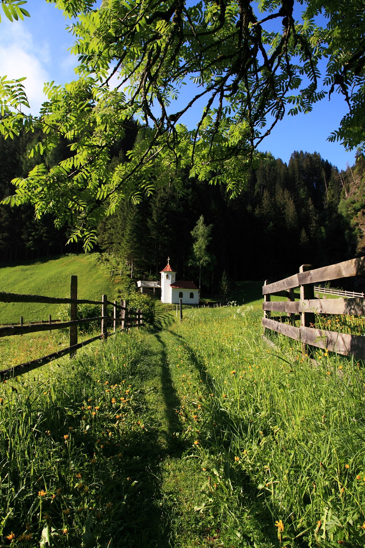 Aparthotel Almrösl Ausflüge mit Hund Kapellenwanderweg