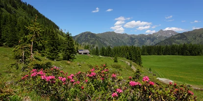 Hundehotel - Pools: Schwimmteich - Hirschgrubenalm - Aparthotel Almrösl