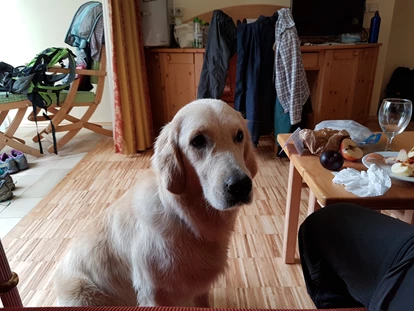 Hundehotel - Trink-/Fressnapf: an der Rezeption - Ossiach - Naturhotel Ortners Eschenhof