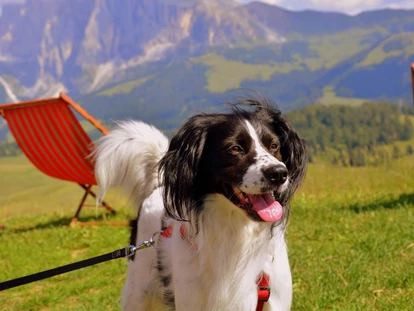 Hundehotel - Trink-/Fressnapf: an der Rezeption - Ossiach - Naturhotel Ortners Eschenhof