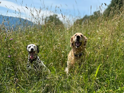 Hundehotel - Trink-/Fressnapf: an der Rezeption - Ossiach - Coco und Bella - Naturhotel Ortners Eschenhof