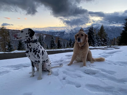 Hundehotel - Trink-/Fressnapf: an der Rezeption - Ossiach - Coco und Bella am Berg - Naturhotel Ortners Eschenhof