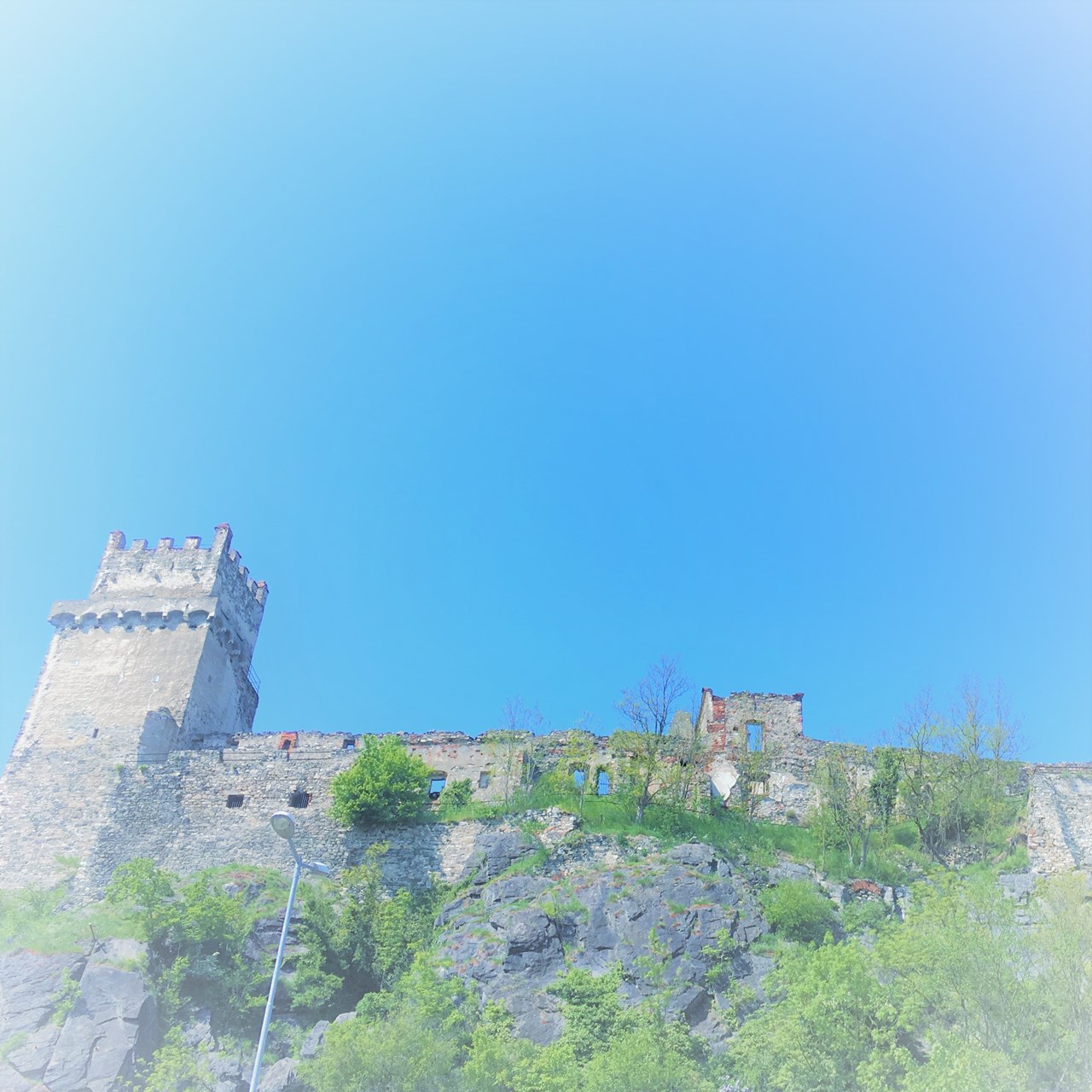 Cottage Number 9 Ausflugsziele  Donauseerunde mit dem Hund