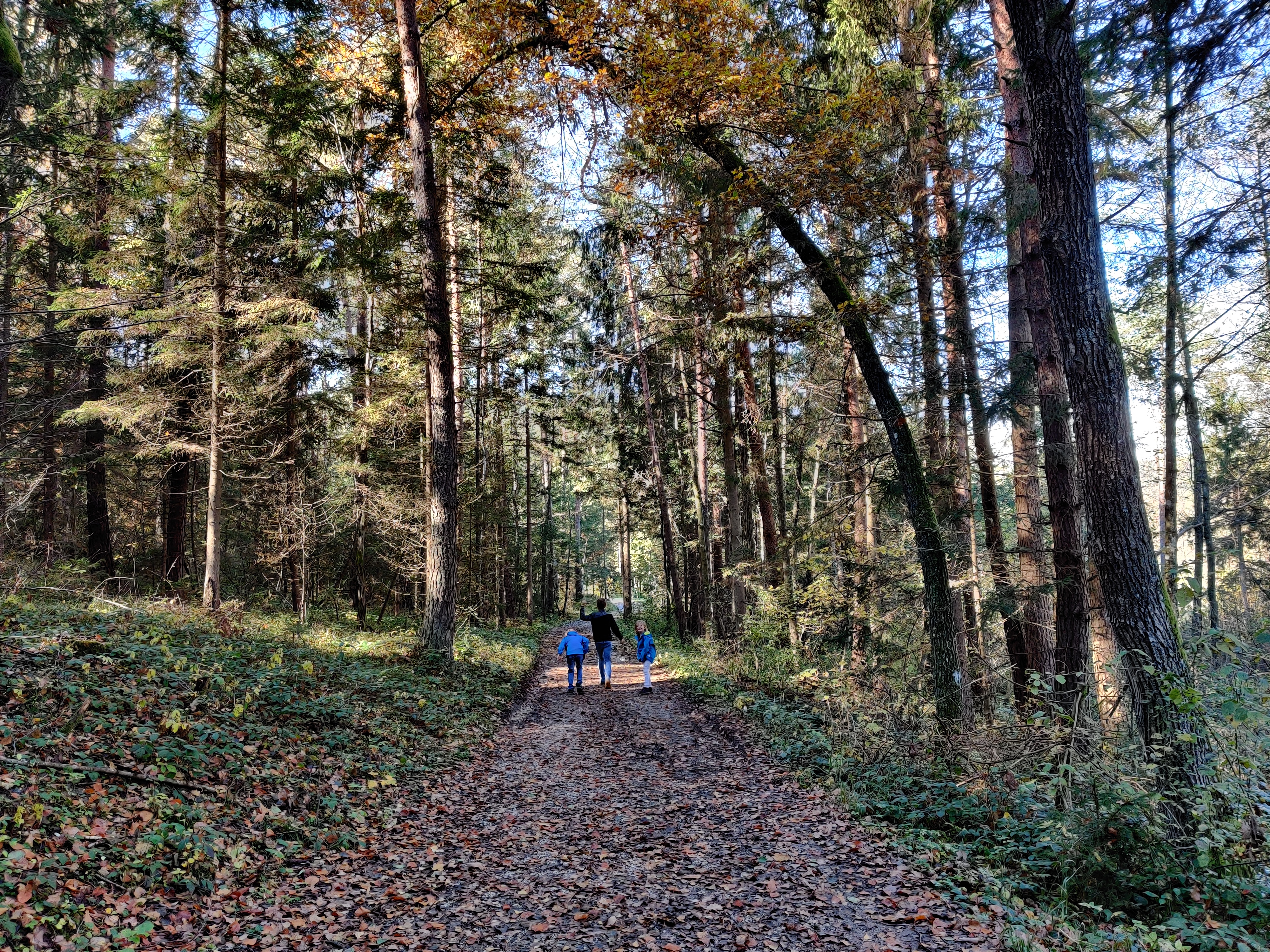 Urlaub-mit-Hund: Kärnten Apartment Turnersee