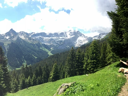 Hundehotel - Doggies: 3 Doggies - Wanderweg mit herrlicher Aussicht auf die Berge - Hotel Zimba Gmbh + CoKG