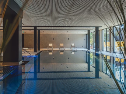 Hundehotel - Doggies: 3 Doggies - 15 Meter Badevergnügen - Hotel Zimba Gmbh + CoKG