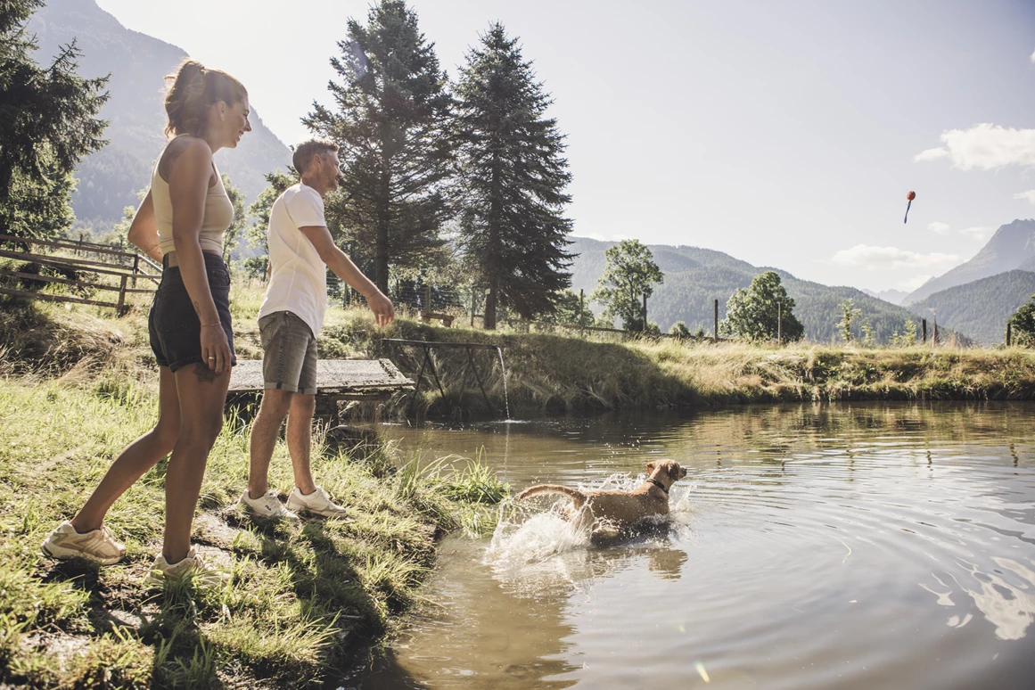 Urlaub-mit-Hund: Schwimmen in der Wau-Zone - Hotel Johanna mitten im Ötztal - Haus | Umgebung