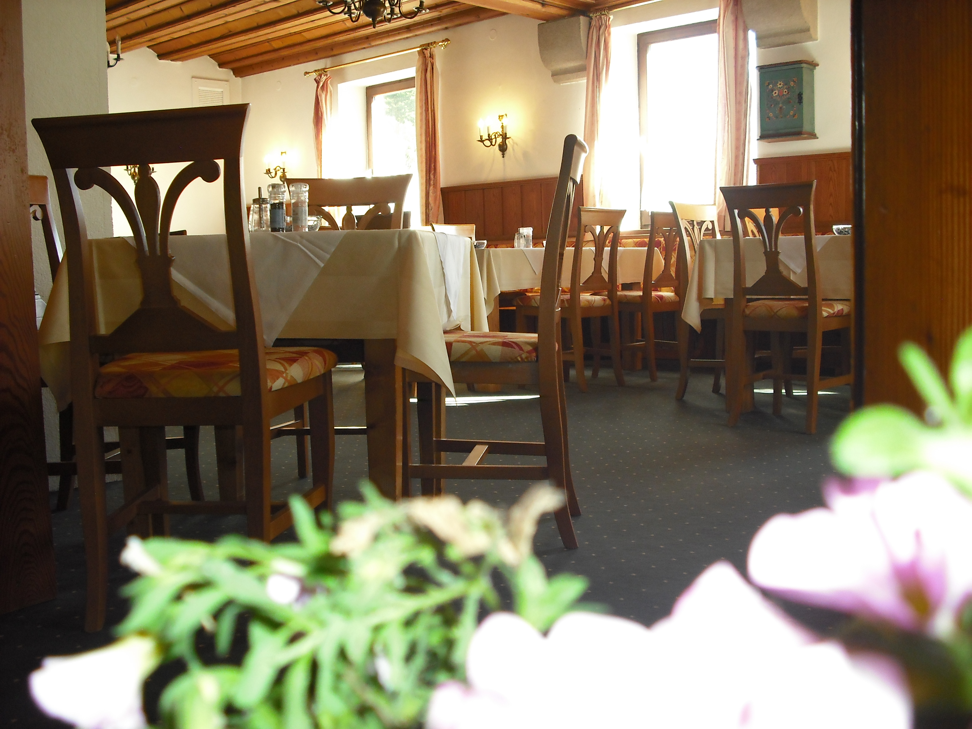 Hundehotel - Oberösterreich - Hotel Botenwirt