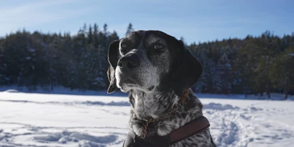 Hundehotel - Ladis - Hotel Tyrol Mösern