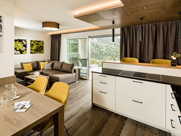 Panorama Residence Saltauserhof Resort Zimmerkategorien One Bedroom Suite