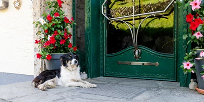 Hundehotel - Preisniveau: günstig - Berchtesgaden - Unsere Hütehündin Spezi - Ganzenhubhof