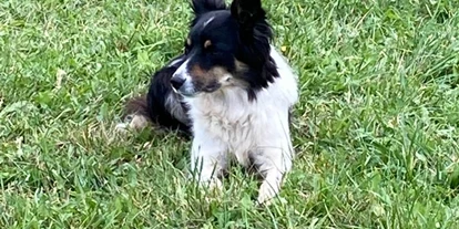 Hundehotel - Preisniveau: günstig - Berchtesgaden - Ganzenhubhof