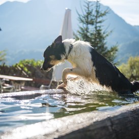 Ferienhaus mit Hund: Erfrischung tut gut - Ganzenhubhof