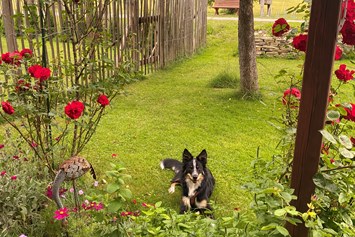 Ferienhaus mit Hund: Elkes schöner Vorgarten - Alpenlodge AUSseeZEIT 