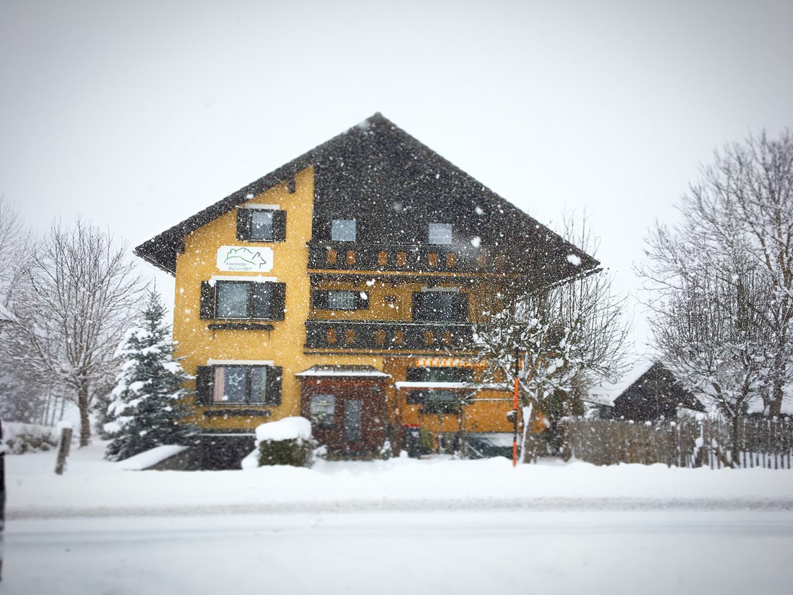 Ferienhaus mit Hund: Unsere Alpenlodge AUSseeZEIT ist auch im Winter schön - Alpenlodge AUSseeZEIT 