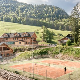 Ferienhaus mit Hund: Tennis - Narzissendorf Zloam