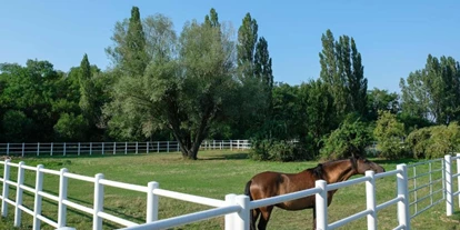 Hundehotel - Unterkunftsart: Pension - Burgenland - Equiliber Reitkunstzentrum