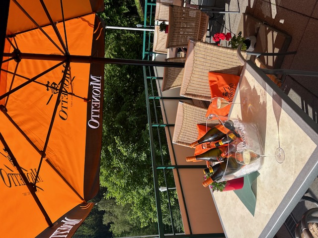 Urlaub-mit-Hund: Waldhaus am See