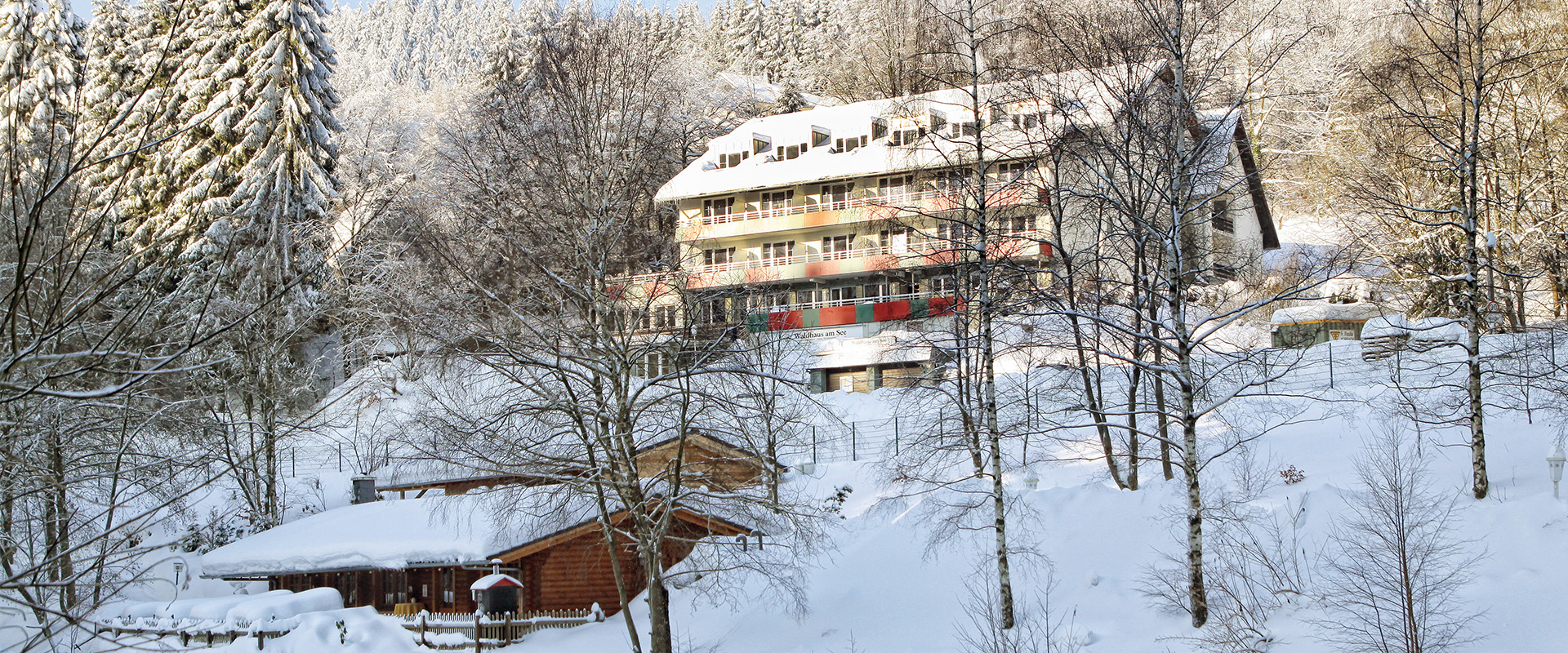 Urlaub-mit-Hund: Waldhaus am See
