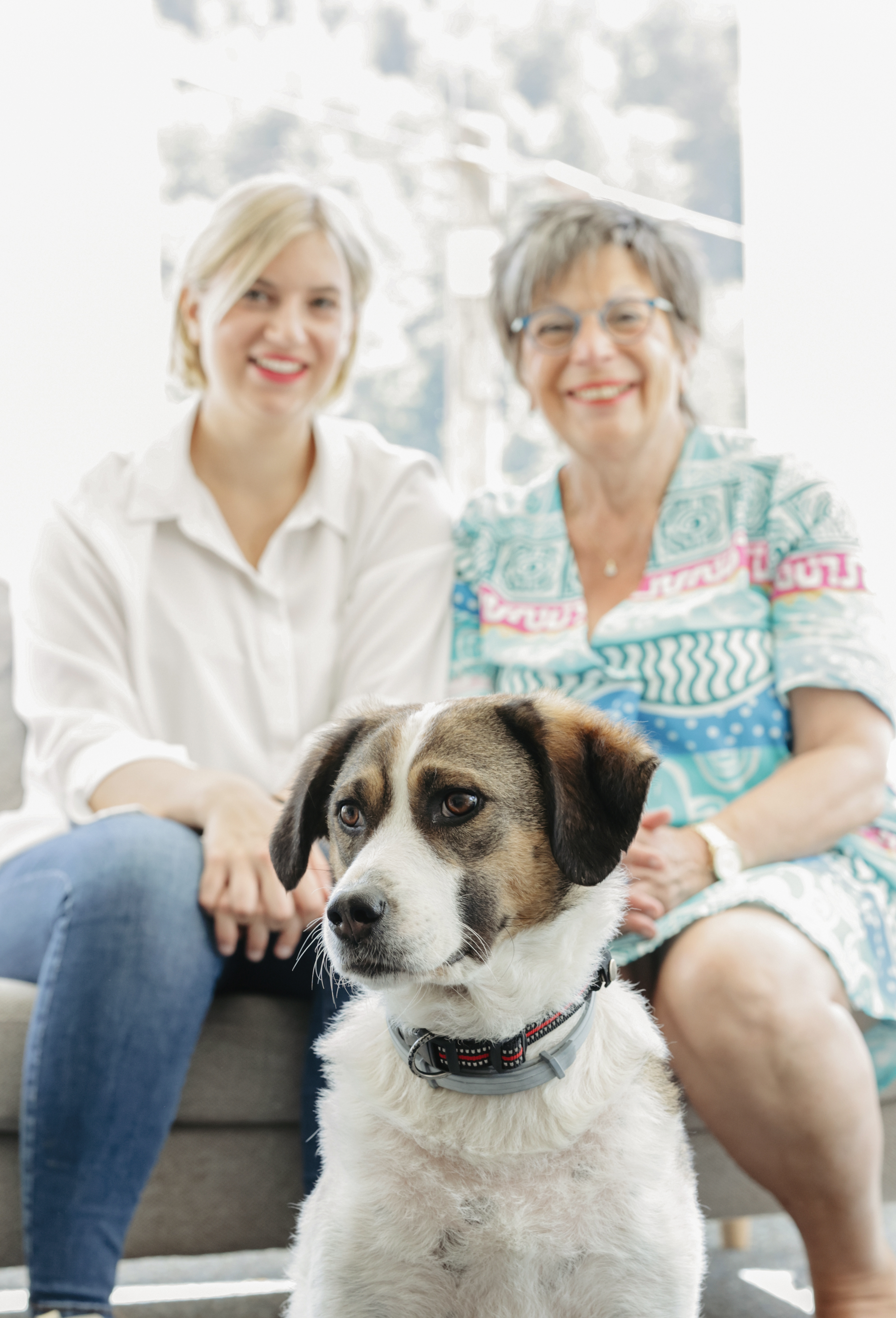 Urlaub-mit-Hund: Landhotel Baumwipfel