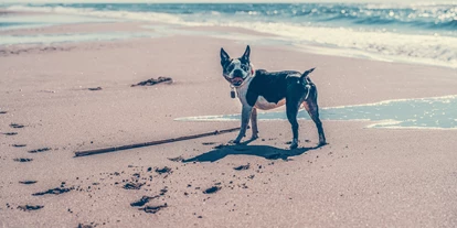 Hundehotel - Pools: Außenpool nicht beheizt - Friaul-Julisch Venetien - Resort Tenuta Primero