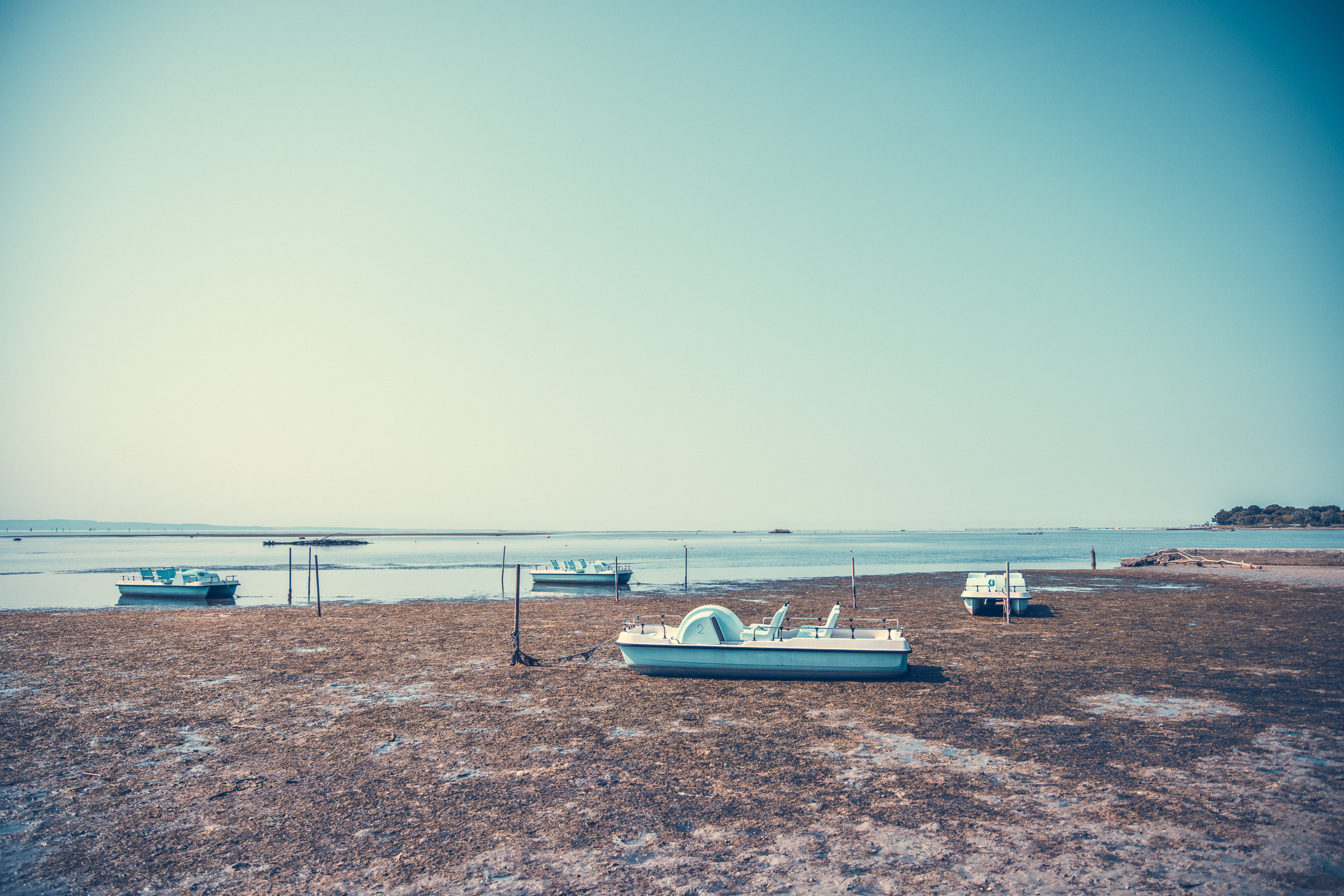 Urlaub-mit-Hund: Resort Tenuta Primero