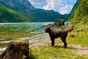 Urlaub-mit-Hund: Almdorf Flachau