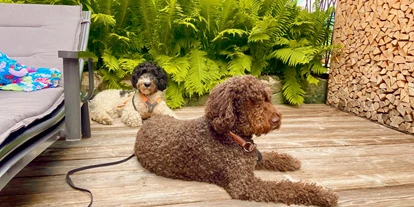 Hundehotel - Tauplitz - entspannt auf der eigenen Terrasse chillen - Almdorf Flachau