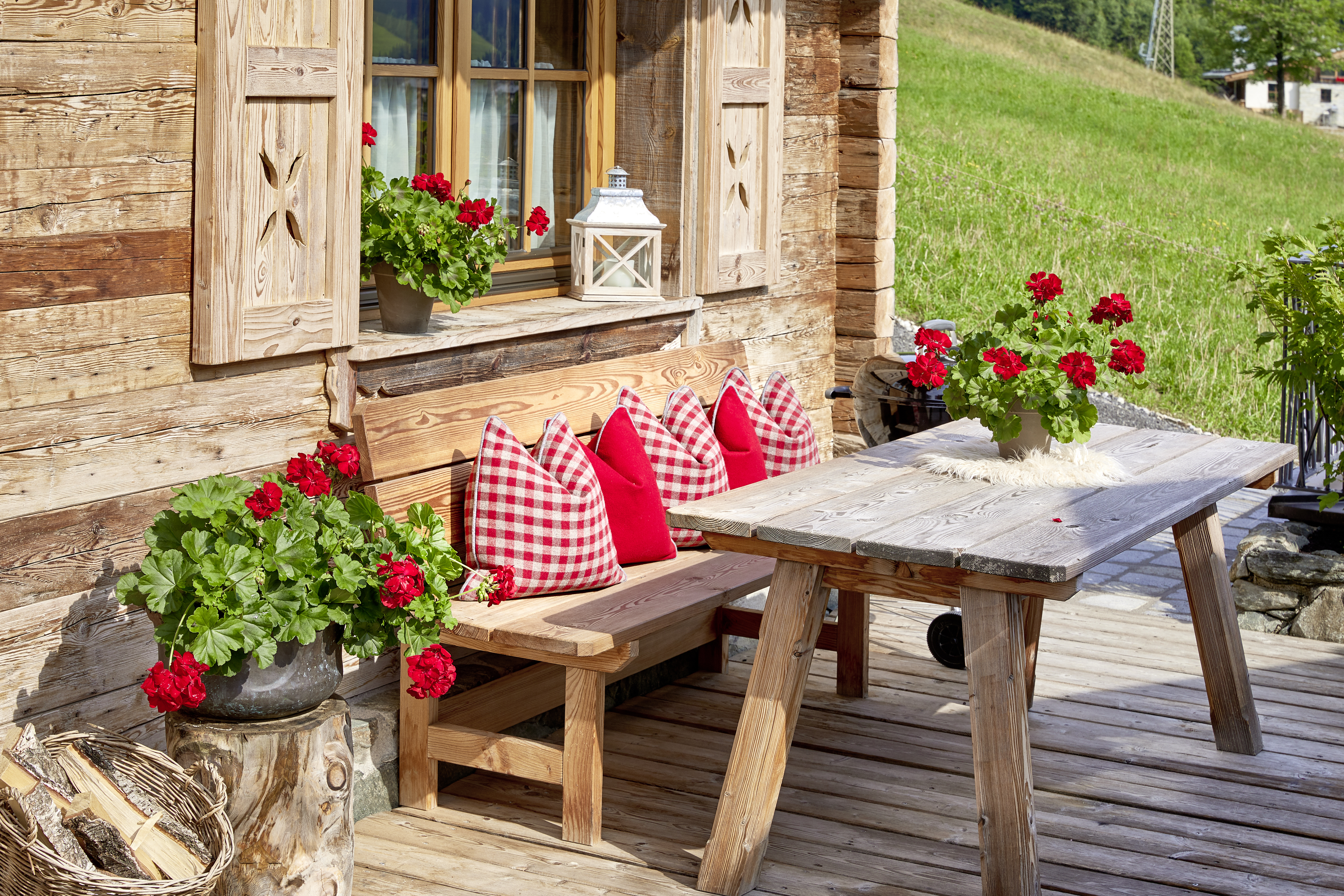 Urlaub-mit-Hund: Promi Alm Flachau