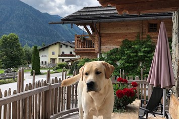 Urlaub-mit-Hund: Promi Alm Flachau