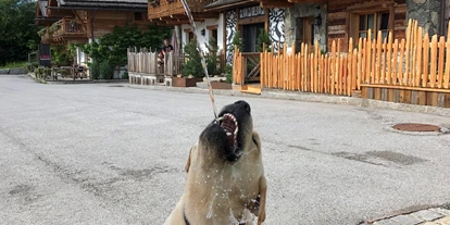 Hundehotel - Tauplitz - Promi Alm Flachau