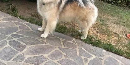Hundehotel - Pools: Schwimmteich - Das Alpenhotel Speckbacher Hof bietet vielfältige Möglichkeiten den Urlaub mit Ihrem vierbeinigen Begleiter zu genießen. Ihr tierischer Freund ist herzlich willkommen! - Alpenhotel Speckbacher Hof GmbH