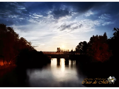 Hundehotel - Schwerpunkt: Städtetrips - Fischland - Vollmond in Ribnitz - full moon mood - Coco de Mer