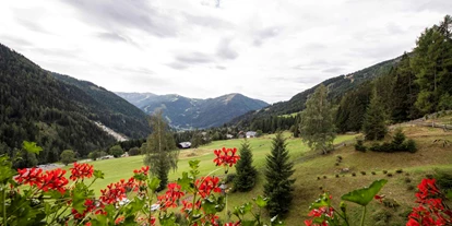 Hundehotel - Doggies: 3 Doggies - Das Hotel St. Oswald hat eine wunderbare Naturlage
 - Hotel St. Oswald