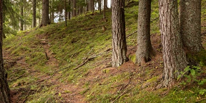 Hundehotel - Doggies: 3 Doggies - Im Hotel St. Oswald haben Sie direkten Zugang zum Wald
 - Hotel St. Oswald