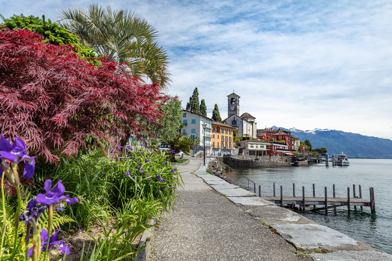 Parkhotel Brenscino Brissago Ausflüge mit Hund Lungolago Brissago