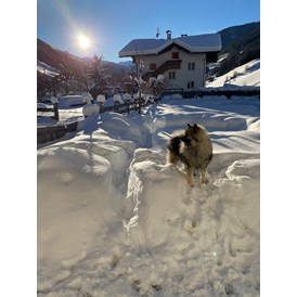 Urlaub-mit-Hund: Urlaub mit Hund im Winter - Hotel Sonja