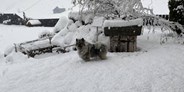Hundehotel - Pools: Außenpool nicht beheizt - Winterwandern mit Hund - Hotel Sonja