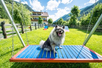 Urlaub-mit-Hund: Hotel Sonja