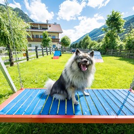 Urlaub-mit-Hund: Hotel Sonja