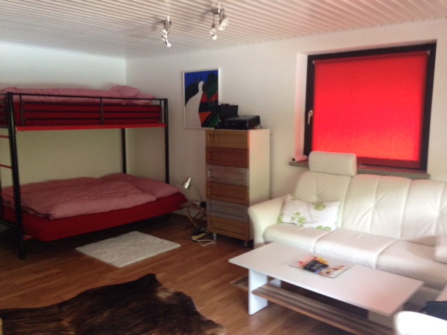 Ferienhaus mit Hund: Jugendzimmer - Landhaus Tamberg im Nationalpark Kalkalpen