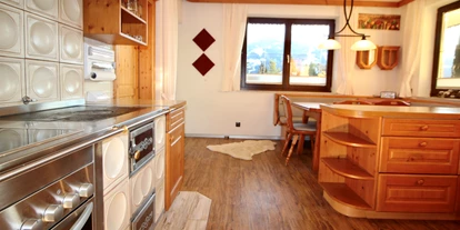 Hundehotel - Tauplitz - Appartement Kachelofenzauber-Küche  - Appartement Mama